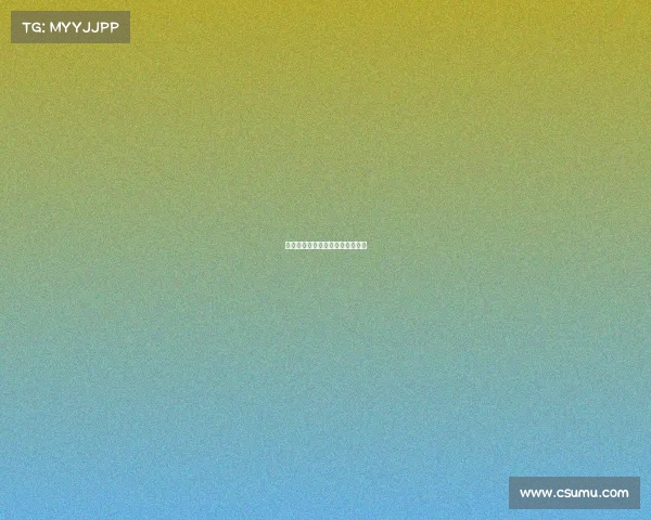 防守型中场：掌控比赛的关键一环